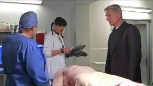 Daivd Mccallum, Pauley Perrette & Mark Harmon Characters: Dr. Donald Mallard, Abby Sciuto, & Leroy Jethro Gibbs Televisi