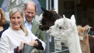 Little Known Facts About Sophie, Countess Of Wessex