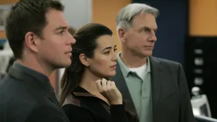 Michael Weatherly, Cote de Pablo, and Mark Harmon in 'NCIS'