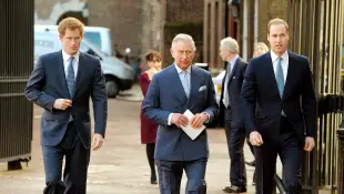 Prince Harry, King Charles and Prince William