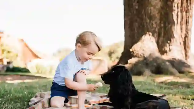 Prince George and Lupo
