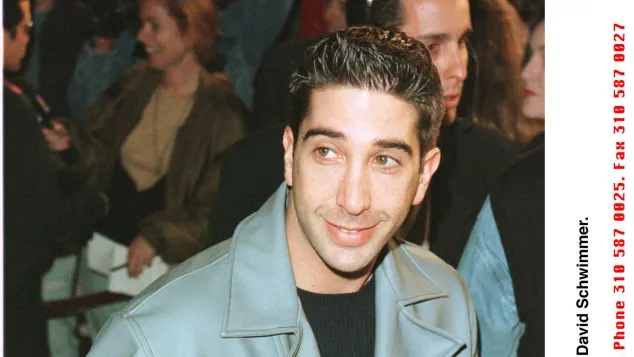 David Schwimmer