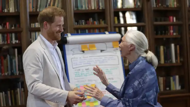 Prince Harry and Jane Goodall