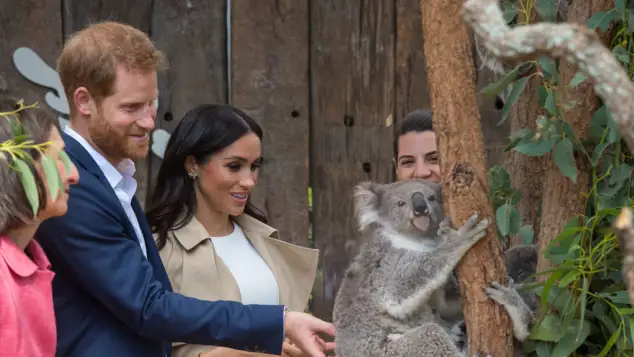Prince Harry and Meghan Markle