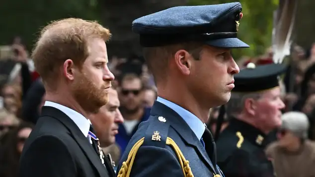 Prince Harry and Prince William