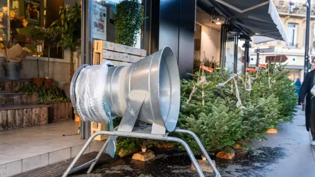 christmas tree christmas tree fir christmas sale purchase