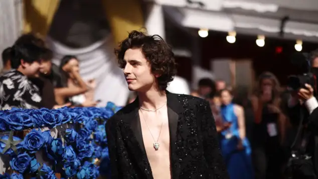 Timothee Chalamet