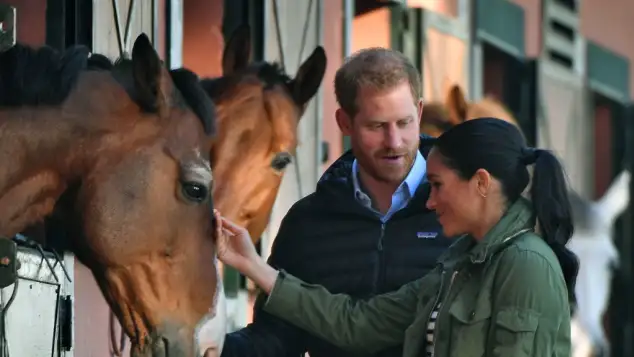 Prince Harry and Meghan Markle