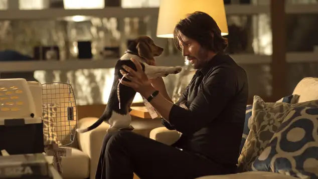 'John Wick'