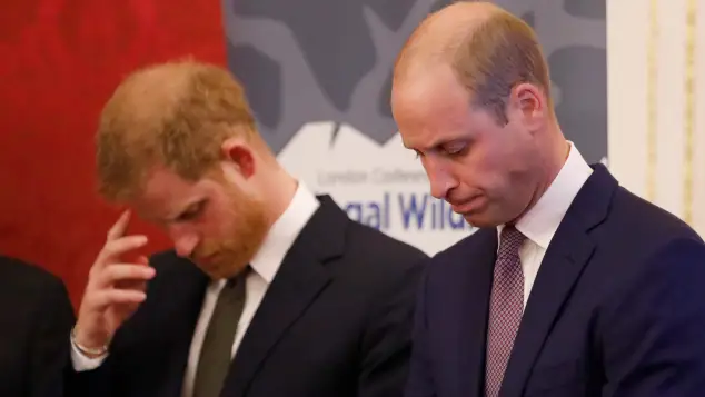 Príncipe William y el príncipe Harry