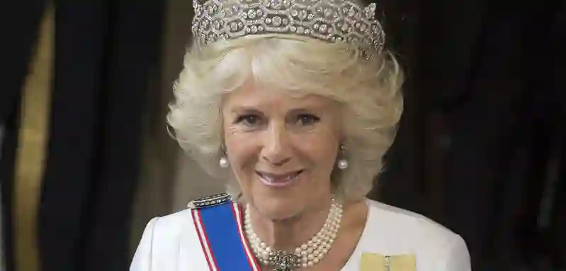 Camilla, Duchess of Cornwall arrives at The State Opening of Parliament on May 18, 2016 in London, England