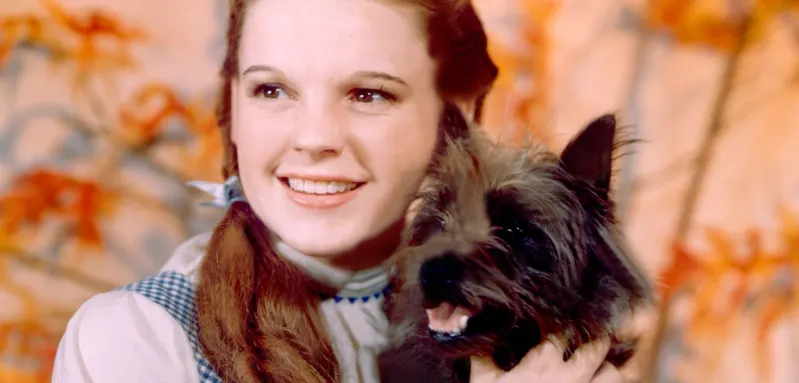 Judy Garland