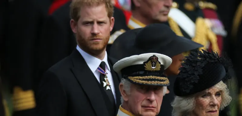 Prince Harry and King Charles