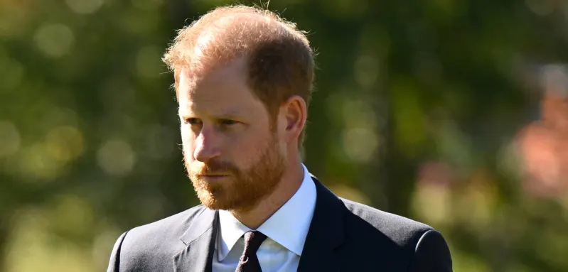 Prince Harry, family, royal family, demands