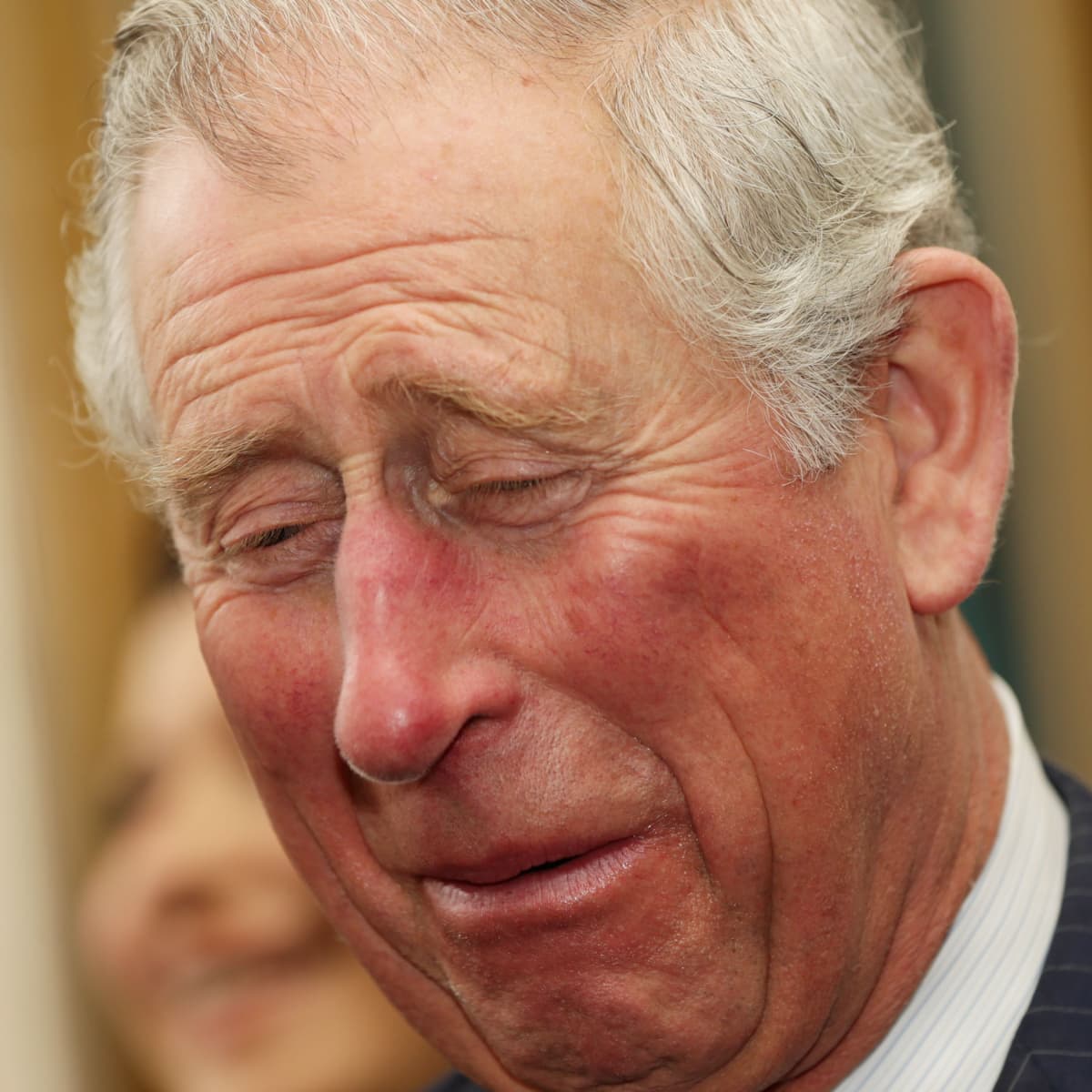 Prince_Charles_Crying_Archie_Picture_Fact_Check_Major_Regret_Baby_Grandson_Emotional_Jaw_Dropping_Comment_2021_Royal_Family_210316_gomhw5jkba
