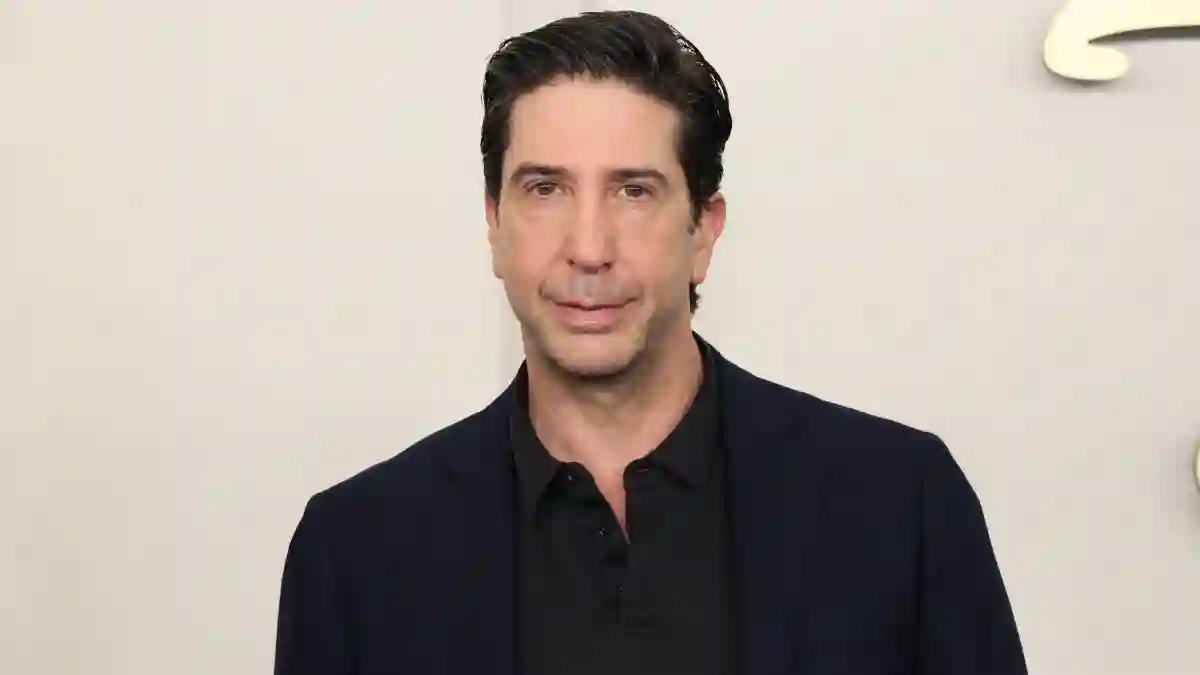 David Schwimmer Woman Love Happiness