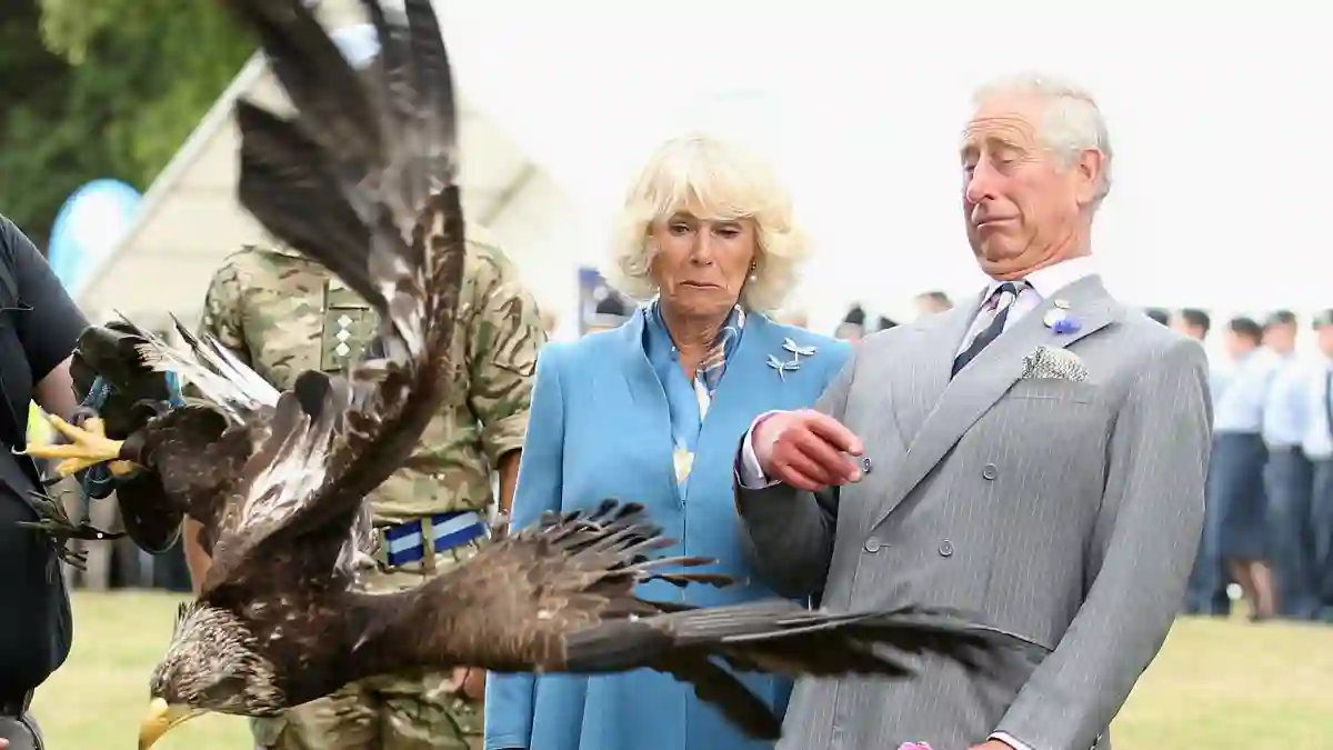Prinz Charles und Camilla erschrecken vor dem Adler
