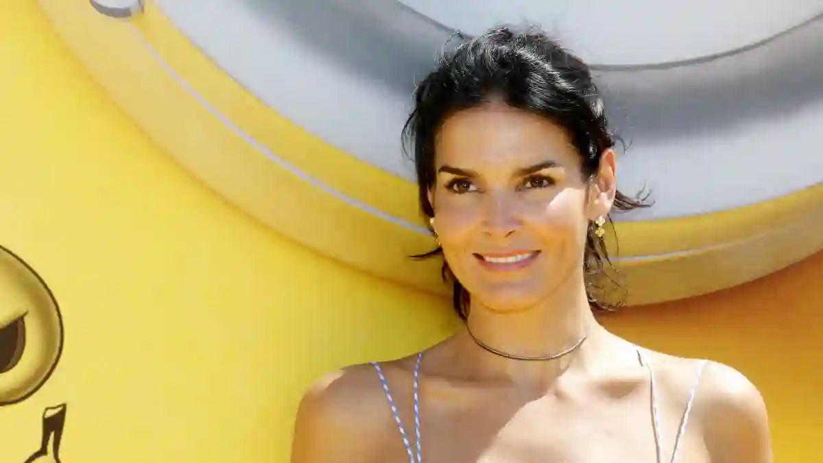 Angie  Harmon  at  the  World  premiere  of  'Despicable  Me  3'  held  at  the  Shrine  Auditorium