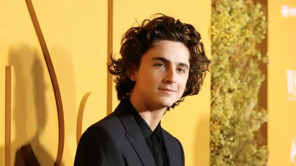Timothee Chalamet arrives on the red carpet at WSJ Magazine 2023 Innovator Awards on Wednesday, November 01, 2023 in New