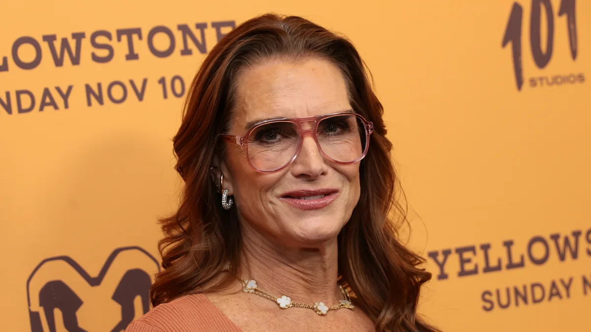 brooke shields today actress