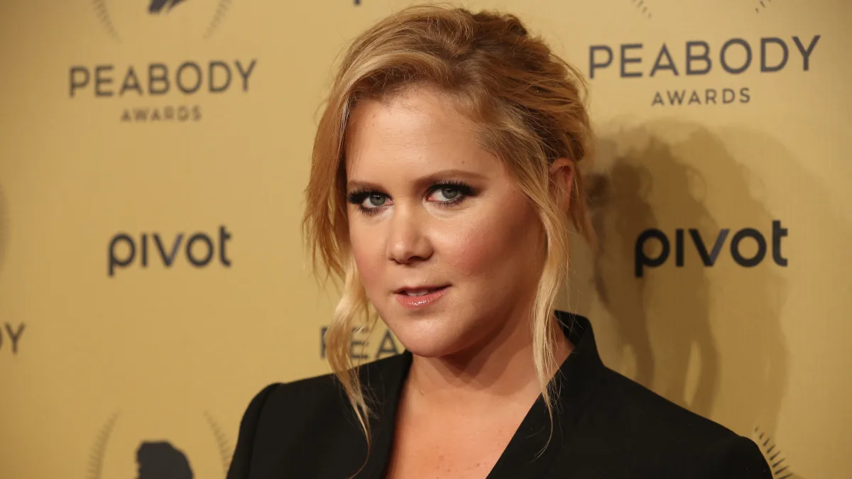 Celebrities Who Have Been Caught Shoplifting stars famous stealing arrested mugshots list items Amy Schumer