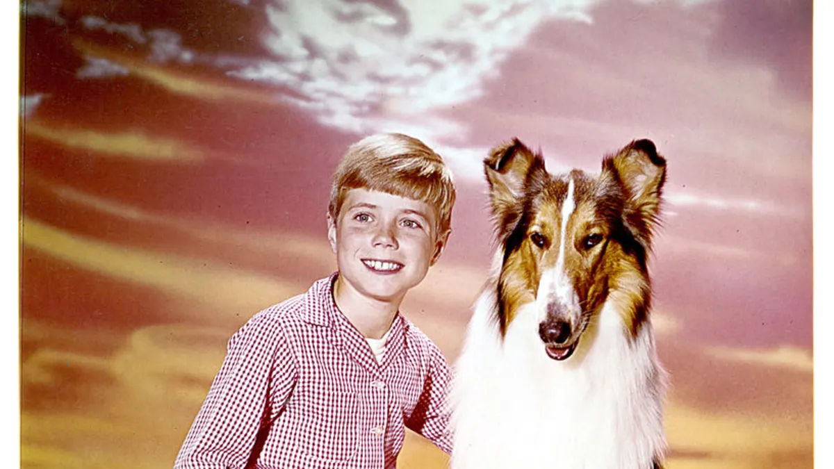 Jon Provost and "Lassie" in the 1954 series