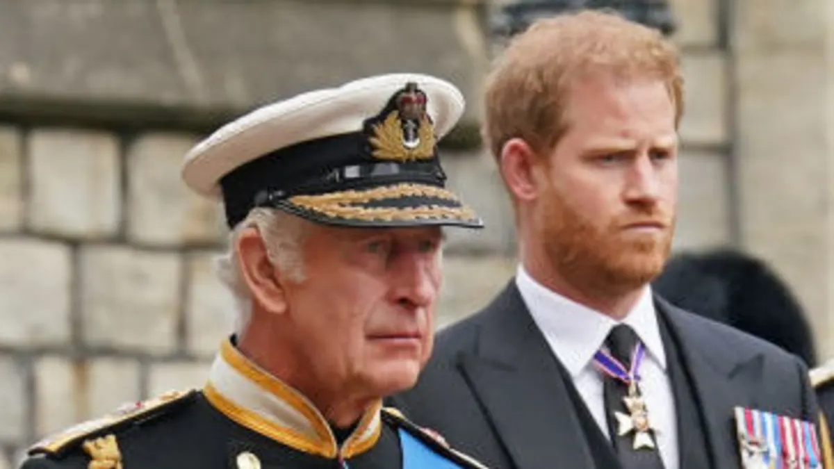 King Charles Prince Harry Royals