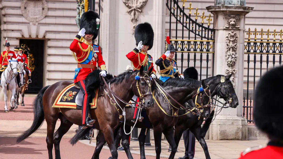 Prince William at Trooping the Colour.