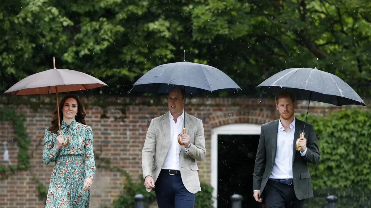 Princess Kate, Prince William, Prince Harry