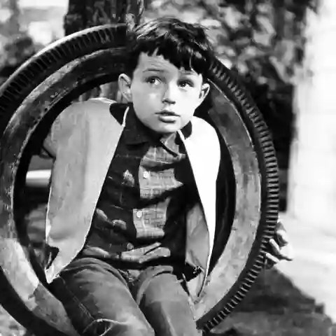 'Leave It to Beaver' quiz trivia series TV show actor Jerry Mathers questions