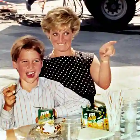 Princess Diana rare photos with her sons William and Harry photos Lady Diana royal family