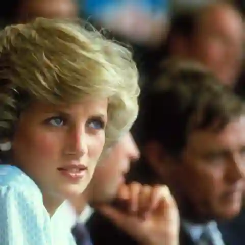 Princess Diana "would have made the most magnificent grandmother"