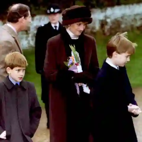 Prince Harry, Prince William and Princess Diana in 1994