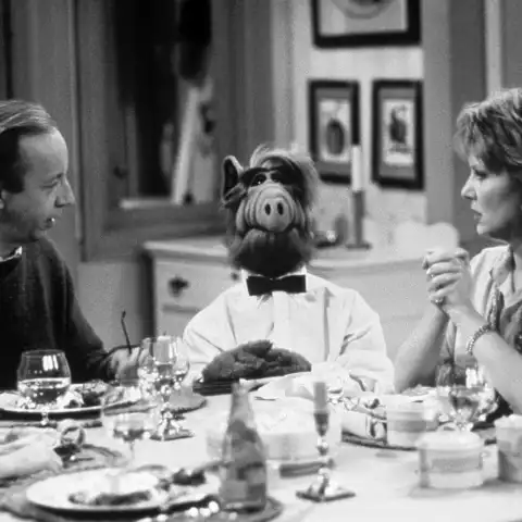 "Alf" star Anne Schedeen has died.
