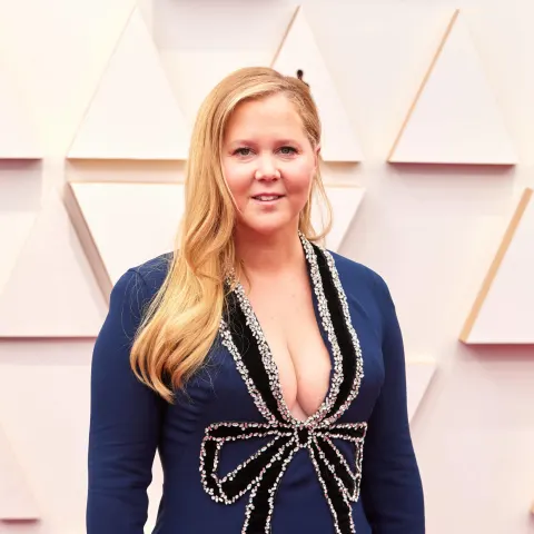 Amy Schumer Red Carpet Los Angeles