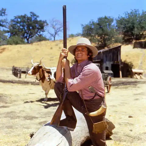 Michael Landon Stopped Chemo Shortly Before His Death