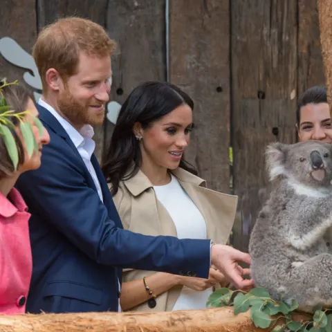 Prince Harry and Meghan Markle