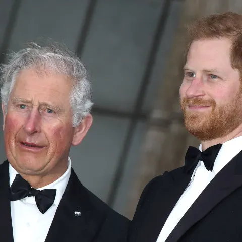 Prince Harry and King Charles