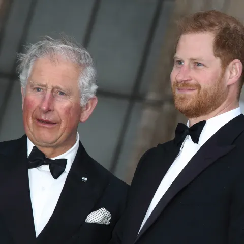 Prince Harry and King Charles