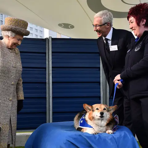 Queen Elizabeth And Her Corgis