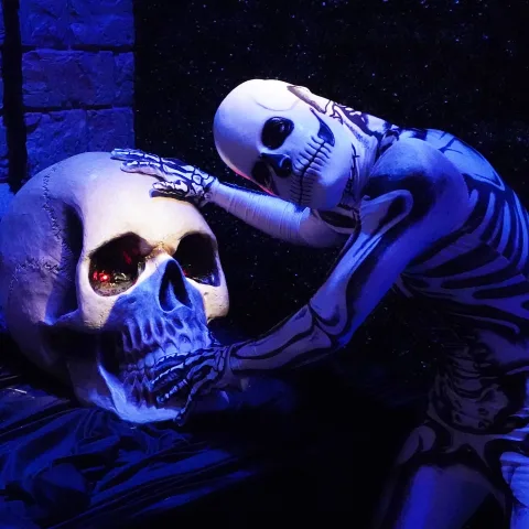 Halloween ideas