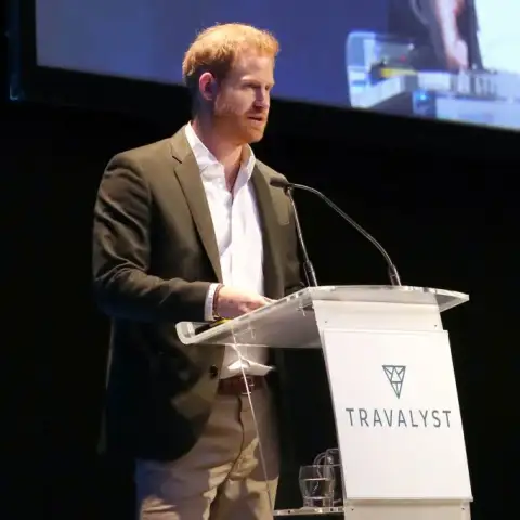 'I Wanna Marry Harry': The TV Show Inspired On Prince Harry