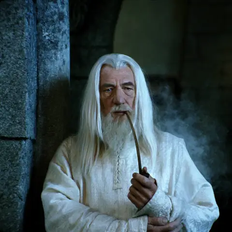 Ian McKellen played Gandalf in The Lord of the Rings