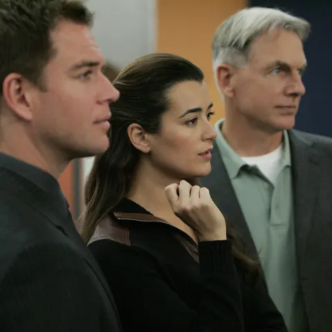 Michael Weatherly, Cote de Pablo, and Mark Harmon in 'NCIS'