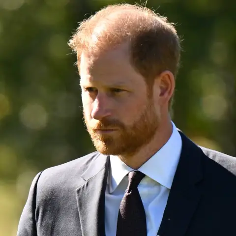Prince Harry, family, royal family, demands