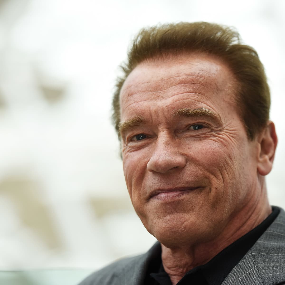 Arnold Schwarzenegger To Star As Spy In Rare New Tv Role