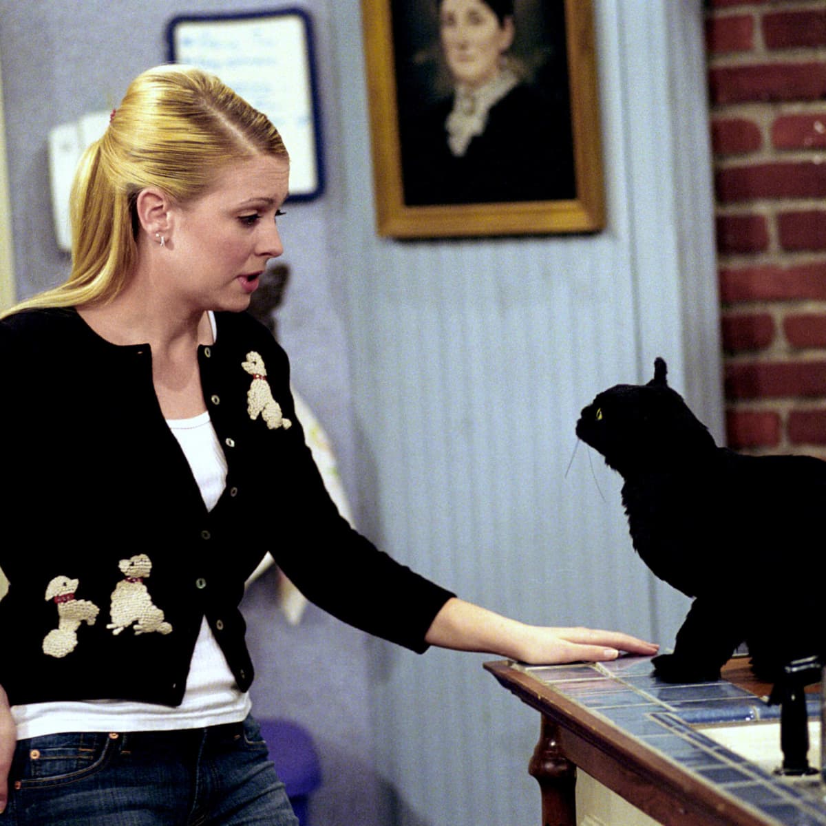 Sabrina The Teenage Witch Meet The Voice Behind Salem The Cat My personal favorite, sabrina the teenage witch, starring melissa joan hart. sabrina the teenage witch meet the