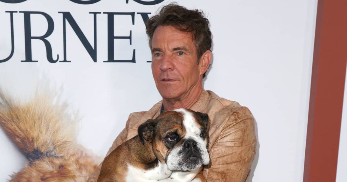 The Best Pictures Of Celebs And Their Dogs
