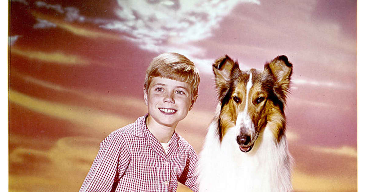 Lassie Where Is Timmy Martin Now 
