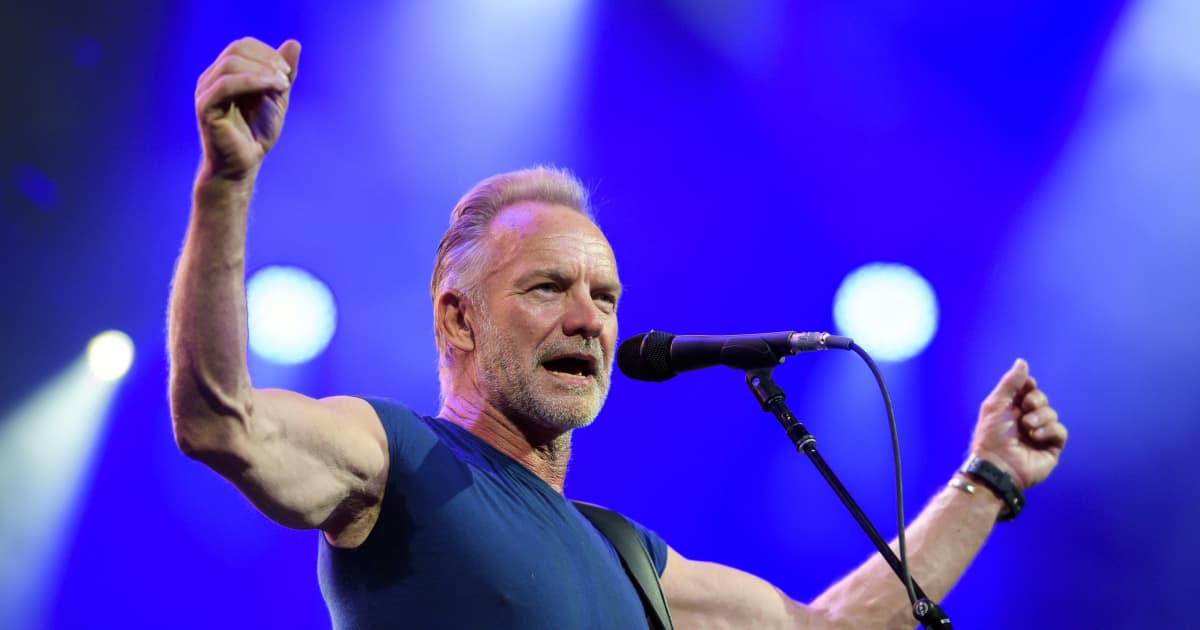 Sting His Career Then & Now